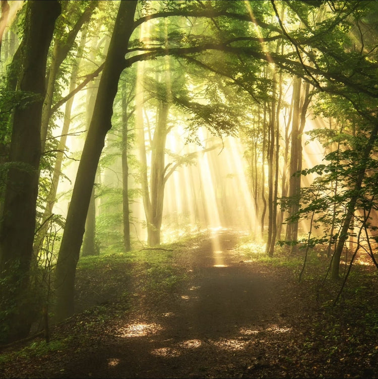 Crown Legacy | Gold Tier